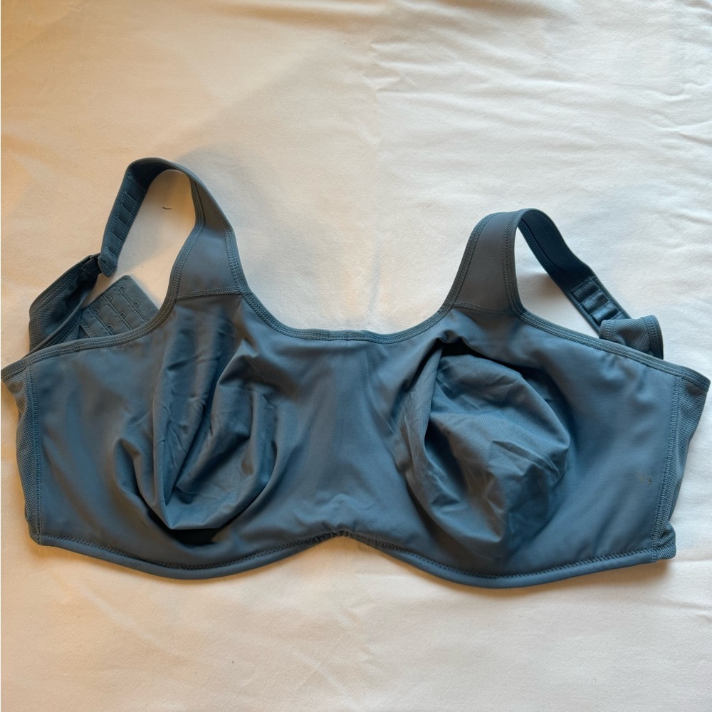 BLUE BRA